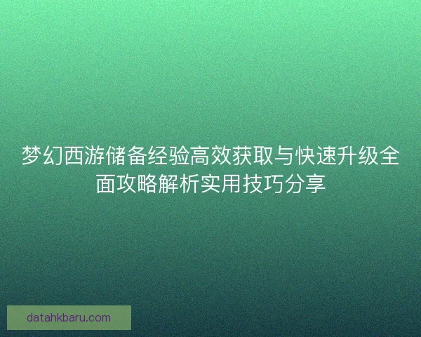 梦幻西游储备经验高效获取与快速升级全面攻略解析实用技巧分享