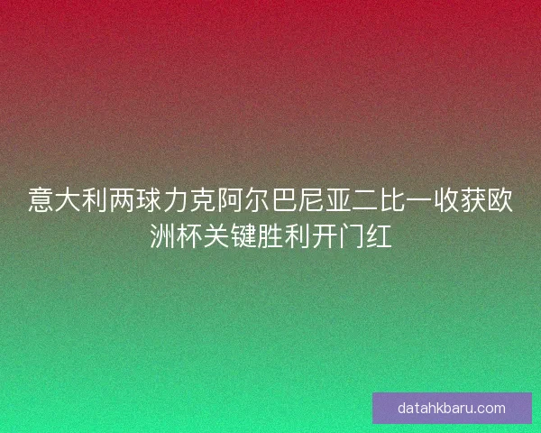 意大利两球力克阿尔巴尼亚二比一收获欧洲杯关键胜利开门红